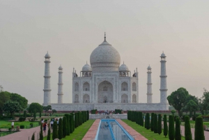 Z Delhi: Wycieczka do Tadż Mahal pociągiem ekspresowym India's Premier Express Train