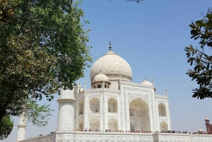 Fra Delhi: Taj Mahal-tur med Indias fremste ekspresstog