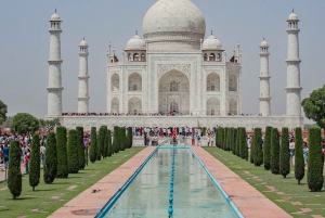 Fra Delhi: Taj Mahal-tur med Indias fremste ekspresstog