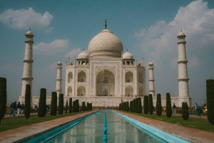 Fra Delhi: Taj Mahal-tur med Indias fremste ekspresstog