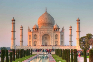 Desde Delhi: Visita al Taj Mahal con el Centro de Conservación de Elefantes