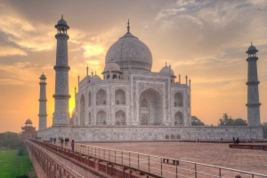 Desde Delhi: Visita al Taj Mahal con el Centro de Conservación de Elefantes