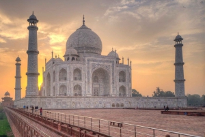 Fra Delhi: Taj Mahal-tur med elefantbeskyttelsescenter