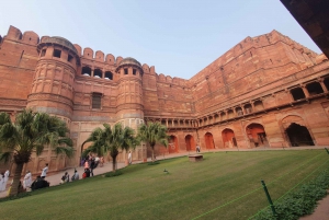 Delhi: Photography Taj Mahal Tour with Boat Ride & Transfers