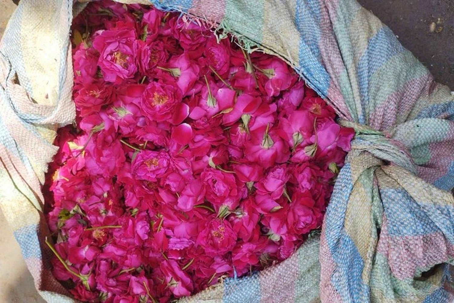 Wycieczka z Delhi do Varanasi (2 dni)