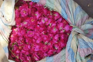 Wycieczka z Delhi do Varanasi (2 dni)