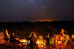 デリー発：ガイド付きヴァラナシツアー（ガンガ・アーティ＆ボートツアー）