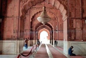 Desde Delhi: excursión privada de un día al Taj Mahal y Agra con traslado incluido.