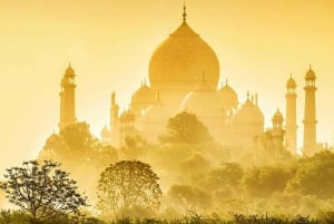 Desde Delhi: excursión privada de un día al Taj Mahal y Agra con traslado incluido.
