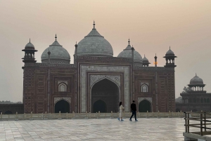 Z Jaipuru: Wycieczka do Taj Mahal tego samego dnia z transferem do Delhi