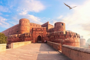 Fra Mumbai: Taj Mahal & Agra Fort Tour med fly samme dag