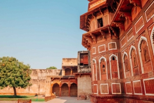 Fra Mumbai: Taj Mahal & Agra Fort Tour med fly samme dag