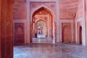 Fra Mumbai: Taj Mahal & Agra Fort Tour med fly samme dag