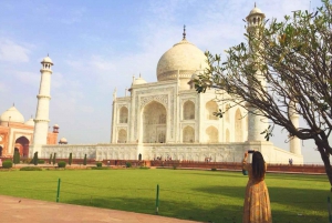 Desde Bombay: Visita guiada privada al Taj Mahal y Agra