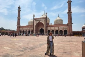 From New Delhi Airport : Guided Layover Old & New Delhi Tour