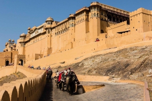 Från New Delhi: Jaipur guidad stadsvandring med upphämtning från hotell