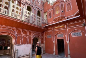 Depuis New Delhi : excursion privée d'une journée à Jaipur avec guide