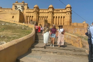 Depuis New Delhi : excursion privée d'une journée à Jaipur avec guide