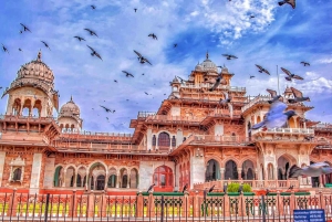 Vanuit New Delhi: Jaipur Tour per sneltrein of privétour met de auto