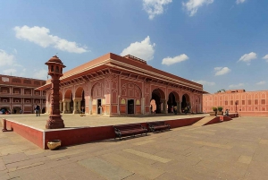 Depuis New Delhi : visite privée de Jaipur en train rapide ou en voiture privée