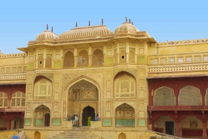 Desde Nueva Delhi: Excursión privada de un día a Jaipur