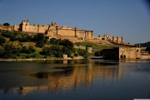 From New Delhi: Private Day Trip to Jaipur