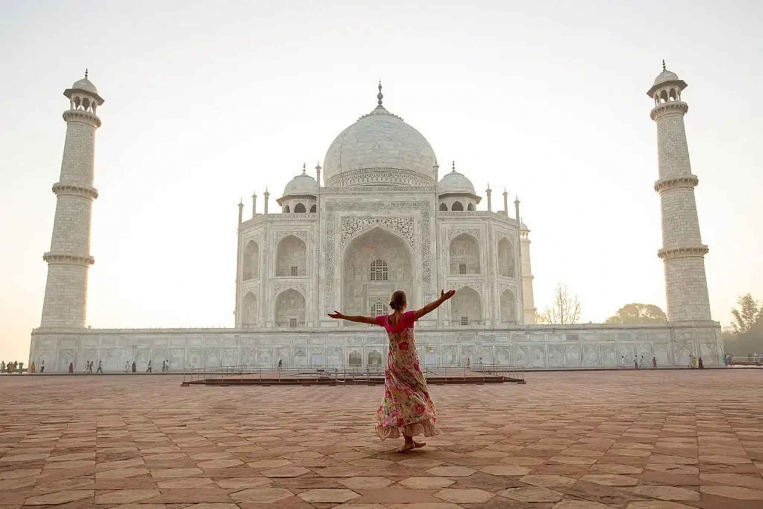 Fra New Delhi: Privat dagstur til Taj Mahal og Agra Fort