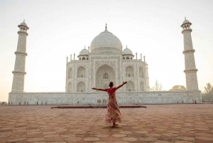 Depuis New Delhi : Excursion privée d'une journée au Taj Mahal et au Fort d'Agra