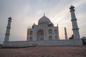 Depuis New Delhi : Excursion privée d'une journée au Taj Mahal et au Fort d'Agra