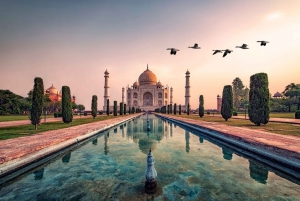 From New Delhi: Private Day Trip to Taj Mahal and Agra Fort