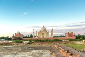 Depuis New Delhi : Excursion privée d'une journée au Taj Mahal et au Fort d'Agra