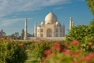 Depuis New Delhi : Excursion privée d'une journée au Taj Mahal et au Fort d'Agra