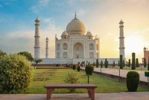 Depuis New Delhi : visite privée du Taj Mahal et du Fort d'Agra en voiture
