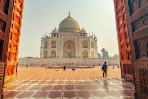 De Nova Délhi: Excursão particular de carro ao Taj Mahal e ao Forte de Agra