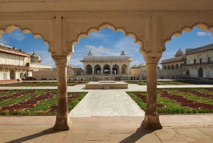 De Nova Délhi: Excursão particular de carro ao Taj Mahal e ao Forte de Agra