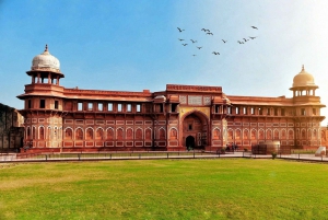 Från New Delhi: Privat Taj Mahal & Agra Fort Tour med bil