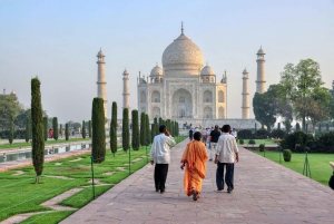 Z Delhi: Taj Mahal i Agra Fort tego samego dnia z transferami