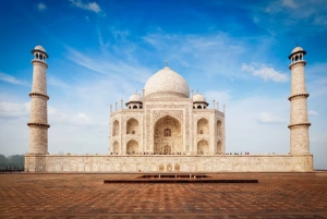 Z New Delhi: Taj Mahal i centrum ochrony słoni