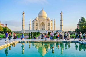 Da Nuova Delhi: Taj Mahal e Centro di Conservazione degli Elefanti