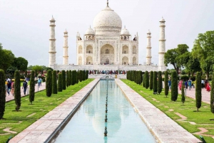 Da Nuova Delhi: Tour dell'alba del Taj Mahal e della vita selvaggia degli elefanti