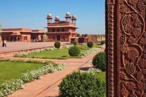 Vanuit New Delhi: Taj Mahal Sunrise Tour met Fatehpur Sikri
