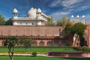 Vanuit New Delhi: Taj Mahal Sunrise Tour met Fatehpur Sikri