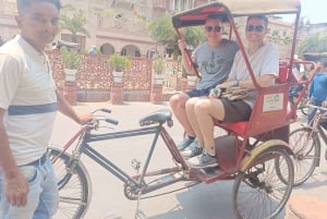 Ganztagestour Delhi Siteseen Tour inklusive Neu-Delhi & Alt-Delhi