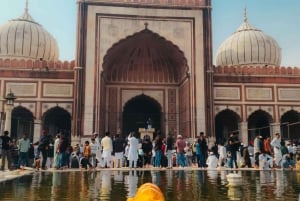 Ganztagestour Delhi Siteseen Tour inklusive Neu-Delhi & Alt-Delhi