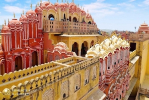 Heldag Jaipur (Pink City) Sightseeing Guidad tur med bil