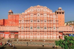 Heldagstur i Jaipur (Den rosa byen) med guide og bil