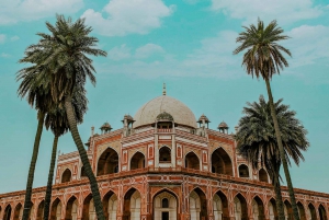 Całodniowa wycieczka po Old & New Delhi Monument Express Entry