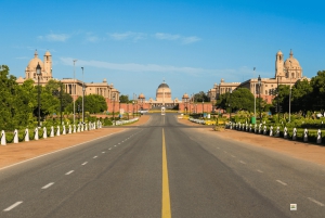 旧デリーと新デリーの一日市内観光