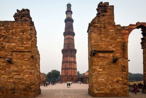 Full Day Old Delhi and New Delhi Tour