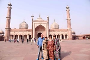 Heldagstur med bil och guide i Gamla Delhi och New Delhi
